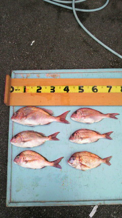 2012052317300001.jpg