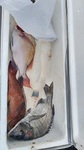 KIMG0410.JPG